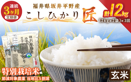 �y3�����A�����͂��z ���ʍ͔|�� �R�V�q�J���� 4kg�i2kg×2�܁j×3�� �v12kg  �ߌ��Ώ۔_�򓖒n��5�����y���āz���� �R�V�q�J�� [E-2921_02]