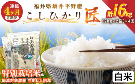 �y4�����A�����͂��z�ߘa7�N�Y ���ʍ͔|�� �R�V�q�J���� 4kg�i2kg×2�܁j×4�� �v16kg �ߌ��Ώ۔_�򓖒n��5�����y���āz���� �R�V�q�J�� [G-2910_01]