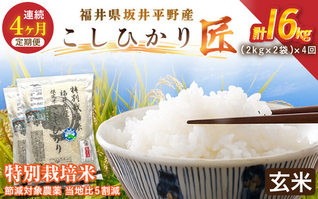 �y4�����A�����͂��z�ߘa7�N�Y  ���ʍ͔|�� �R�V�q�J���� 4kg�i2kg×2�܁j×4�� �v16kg  �ߌ��Ώ۔_�򓖒n��5�����y���āz���� �R�V�q�J�� [G-2910_02]