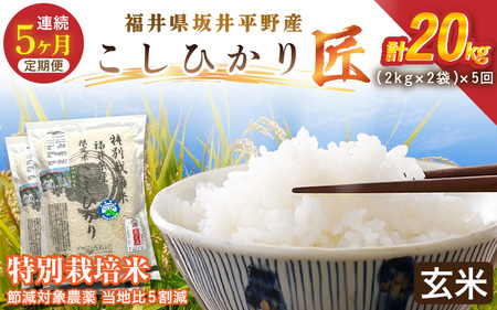 �y5�����A�����͂��z�ߘa7�N�Y ���ʍ͔|�� �R�V�q�J���� 4kg�i2kg×2�܁j×5�� �v20kg  �ߌ��Ώ۔_�򓖒n��5�����y���āz���� �R�V�q�J�� [I-2908_02]