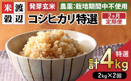 [期間限定][2ヶ月連続お届け][令和7年産]発芽玄米 コシヒカリ「特選」特別栽培米使用 2kg×2回(計4kg)[米 こしひかり 玄米 ギャバ GABA 特別栽培 食物繊維 栄養 真空パック ごはん ご飯 おいしい ふるさと納税] [B-2944]