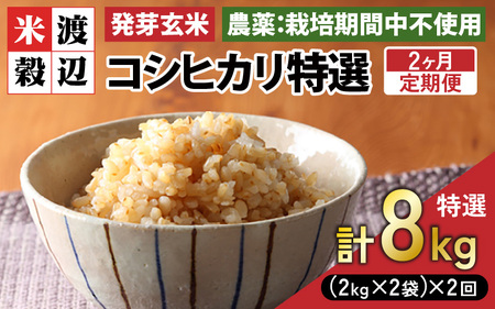 �y���Ԍ���z�y2�����A�����͂��z�y�ߘa7�N�Y�z���茺�� �R�V�q�J���u���I�v���ʍ͔|�Ďg�p 4kg×2��i�v8kg�j�y�� �����Ђ��� ���� �M���o GABA ���ʍ͔| �H���@�� �h�{ �^��p�b�N ���͂� ��