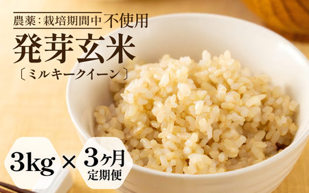 �y���Ԍ���z�y3�����A�����͂��z�y�ߘa7�N�Y�z���茺�� ���ʍ͔|�� �~���L�[�N�C�[�� 3kg×3��i�v9kg�j���茺��  [F-2924]