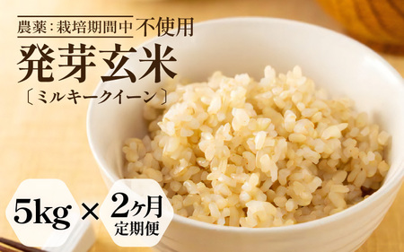 �y���Ԍ���z�y2�����A�����͂��z�y�ߘa7�N�Y�z���茺�� ���ʍ͔|�� �~���L�[�N�C�[�� 5kg×2��i�v10kg�j���茺�� [G-2912]