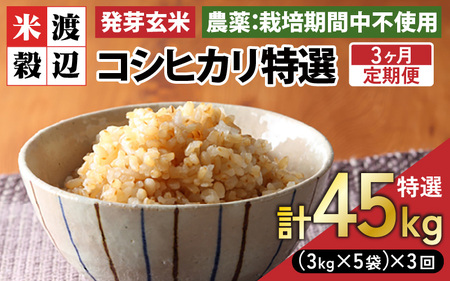 �y���Ԍ���z�y3�����A�����͂��z�y�ߘa7�N�Y�z���茺�� �R�V�q�J���u���I�v���ʍ͔|�Ďg�p 15kg�i3kg×5�܁j×3��i�v45kg�j�y�� �����Ђ��� ���� �M���o GABA ���_�� ���ʍ͔| �H���@�� �h�{