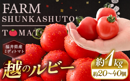先行予約 福井県坂井市産 ミディトマト 越のルビー 1kg (約20〜40個) 2026年10月中旬以降順次発送予定 野菜 とまと トマト ミディトマト [A-22201]