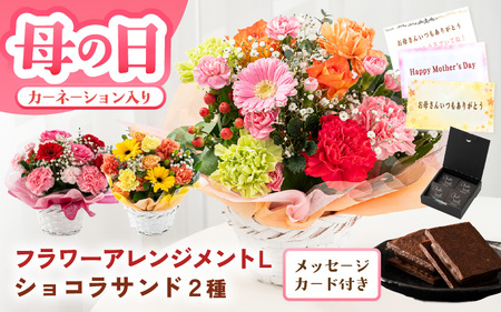 母の日限定! カーネーション入り フラワーアレンジメントL & ショコラサンド ギフトセット カラフル [C-20703_03]