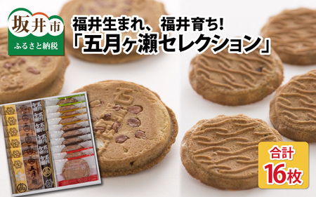 五月ヶ瀨 セレクション (五月ヶ瀬 6枚・メイシャローズ 10枚) 焼き菓子 和菓子 銘菓 煎餅 和スイーツ [A-4118]