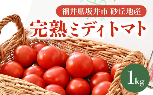 先行予約 完熟ミディトマト 1kg 中玉トマト 2026年6月上旬以降順次発送予定 [A-22101]