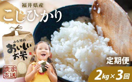 先行予約 定期便 3ヶ月連続お届け コシヒカリ 2kg (1袋) × 3回 計6kg 白米 ブランド米 2026年10月上旬以降順次発送 [A-8992]