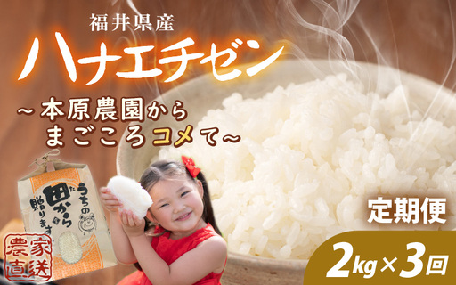 先行予約 定期便 3ヶ月連続お届け ハナエチゼン 2kg (1袋) × 3回 計6kg 白米 精米 ブランド米 2026年9月上旬以降順次発送予定 [A-8991]