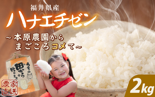 先行予約 ハナエチゼン 2kg (1袋) 白米 2026年9月上旬以降順次発送予定 [A-8988]