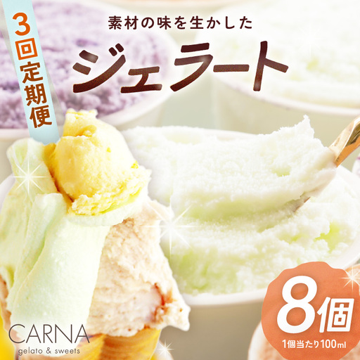 [全3回定期便・隔月お届け] 素材の味を生かした カルナの ジェラート 100ml 8個セット [E-3001]