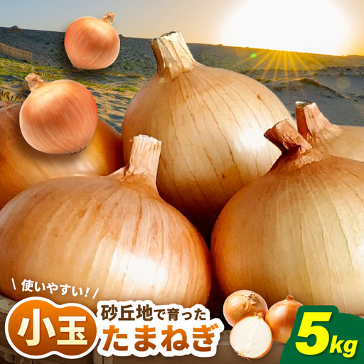 小玉玉ねぎ 5kg たまねぎ 玉ねぎ 玉葱 産地直送 [A-16521]