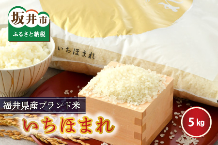 [令和5年産](上白米)さんさん池見二代目がお届けする 福井県産いちほまれ 5kg [A-0209_01]