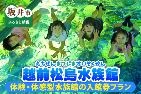 【越前松島水族館】 体験・体感型水族館の入館券プラン 【水族館 入場券 チケット 券 観光 旅行 利用券 入館券 体験 夏休み アウトドア】 [A-11103]
