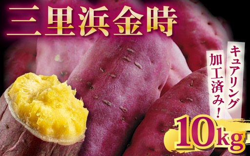[先行予約] 三里浜金時 10kg (5kg×2箱) キュアリング加工済み [2026年11月上旬以降順次発送] [A-1155]