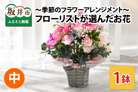 ～季節のフラワーアレンジメント～ フローリストが選んだ季節のお花をお届けします（中サイズ）【A-12002】