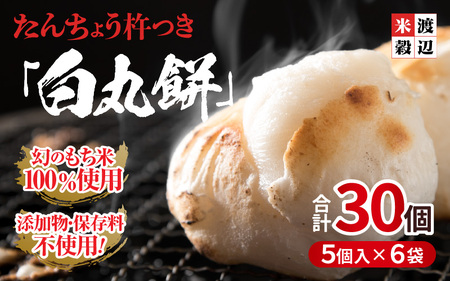 たんちょう杵つき「白丸餅」5個 × 6パック 計30個 特別栽培もち米使用! 〜幻のもち米100%使用〜 [つきたて モチモチ 添加物・保存料不 お雑煮 ぜんざい おやつにも 餅 もち おもち お餅 丸もち 福井 坂井市] [A-2957]