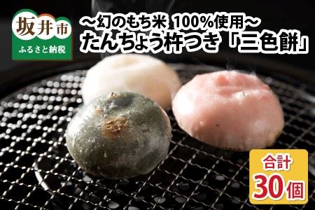 たんちょう杵つき「三色餅」5個 × 6パック 計30個 特別栽培もち米使用! 〜幻のもち米100%使用〜 [つきたて モチモチ 添加物・保存料不 お雑煮 ぜんざい おやつにも 餅 もち おもち お餅 丸もち 福井 坂井市] [A-2958]