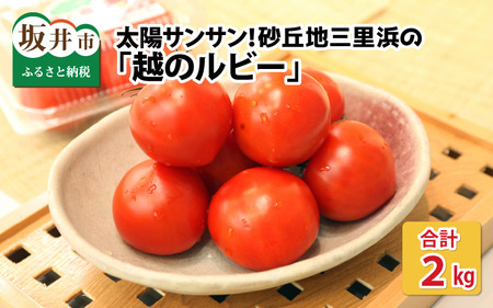 [先行予約]太陽サンサン砂丘地三里浜の 越のルビー 約2kg [2025年9月下旬以降順次発送予定] [A-8301]