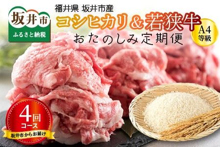 y 4R[Xz sYRVqJ v20kg { ዷ؂藎Ƃ v1kg [I-3203]