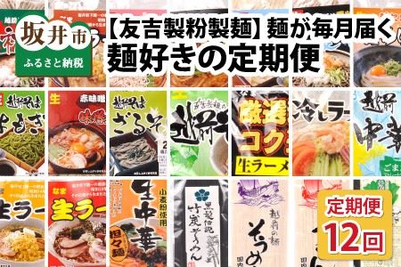 [12ヶ月連続定期便]麺が毎月届く!麺好きのための定期便 [F-4401]