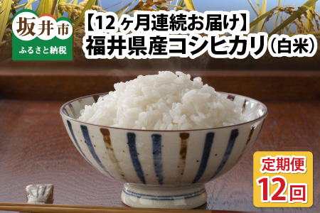 [先行予約][令和7年産・新米][農家直送定期便 12ヶ月コース][白米] 本原農園のまごころコメた 福井県産 コシヒカリ 5kg × 12回 計60kg [2025年10月上旬以降順次発送予定] [K-8901_01]