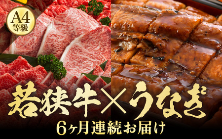 [定期便 6回コース] 蒲焼き鰻 と 肉の鉄板コース 定期便 [うなぎ&若狭牛][牛肉 牛 国産牛 国産 和牛 お肉 ブランド牛 焼肉 鰻のかば焼き ウナギ 黒毛和種 黒毛和牛 A4等級クラス 人気] [I-3201]