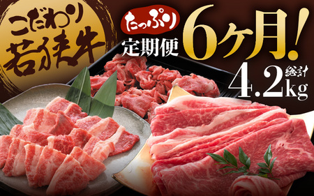 定期便 こだわり若狭牛 全6回 (すき焼き用 / 切り落とし / 焼肉用) 合計4.2kg [肉 6ヶ月 牛肉 肉 お楽しみ 食べ比べ のし 熨斗 和牛 国産和牛 黒毛和牛 黒毛和種 ブランド牛 ギフト 贈答 BBQ 人気 おすすめ] [K-2205]