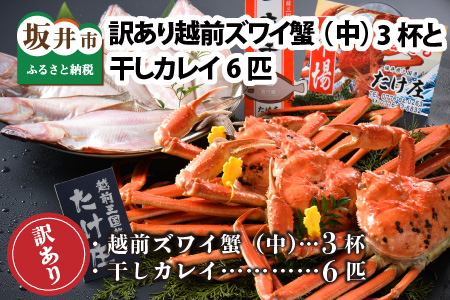 [先行予約]訳あり≪茹で≫越前ズワイ蟹(中) 3杯 と 干しカレイ 6匹[2025年1月〜3月発送予定] [O-1604]