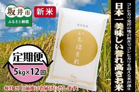 [定期便 12回コース]福井県産 いちほまれ 5kg × 12回 計60kg [お試し用] [L-3254]