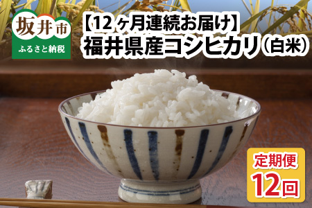 yߘa7NYzy_ƒ 12R[Xzyāz {_̂܂R 䌧Y RVqJ 10kg × 12 v120kg [P-8904]