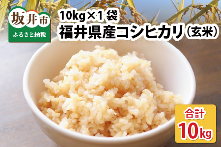 [令和7年産・新米][玄米10kg×1袋]福井県産 コシヒカリ10kg 〜本原農園からまごころコメて〜 [お米 こしひかり 白米 玄米 10キロ 選べる 精米 ブランド米 ごはん ご飯 おいしい ふるさと納税 産地直送 農家直送] [B-8915]