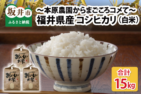 [令和7年産・新米][白米5kg×3袋]福井県産 コシヒカリ15kg 〜本原農園からまごころコメて〜 [D-8909]