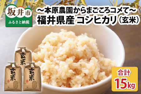 [令和7年産・新米][玄米5kg×3袋]福井県産 コシヒカリ15kg 〜本原農園からまごころコメて〜 [D-8910]