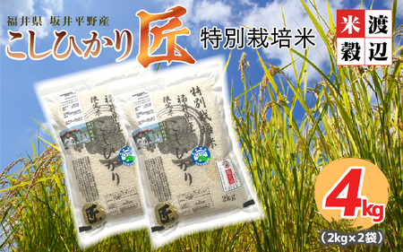 [先行予約][令和6年産・新米](白米) 農薬・化学肥料不使用 コシヒカリ匠 4kg(2kg×2袋)[2024年10月上旬以降順次発送予定][A-2945_01]