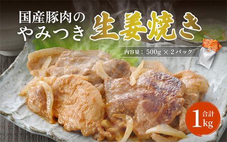 国産豚肉のやみつき生姜焼き 500g×2袋 計1kg [A-2231]