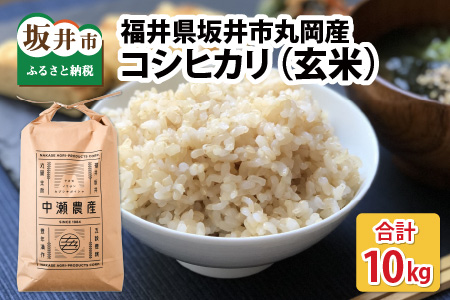 [令和6年産・新米] 福井県坂井市丸岡町産 コシヒカリ 10kg(玄米) [B-11308_02]