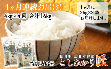 [令和6年産・新米](白米)[4ヶ月連続お届け] ワンランク上の農薬・化学肥料不使用 コシヒカリ匠 4kg × 4回 計16kg [E-2916_01]