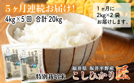 [令和6年産・新米](玄米)[5ヶ月連続お届け] ワンランク上の農薬・化学肥料不使用 コシヒカリ匠 4kg ×5回 計20kg [G-2904_02]