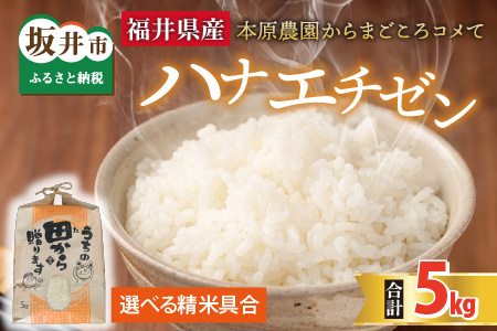 ys\zyߘa8NYEVāz niG`[5kg × 1 `{_܂Rā`iājy2026N9{ȍ~\z y   ͂Ȃ 5L Iׂ  u