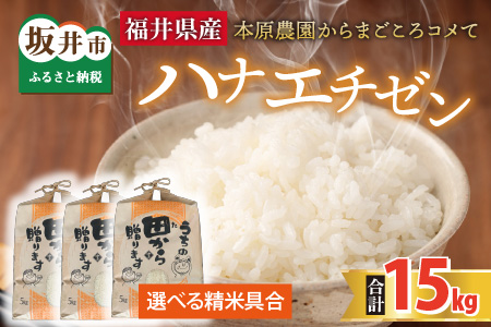 ys\zyߘa8NYEVāz niG`[15kg(5kg×3) `{_܂Rā`iājy2026N9{ȍ~\z [C-8910]