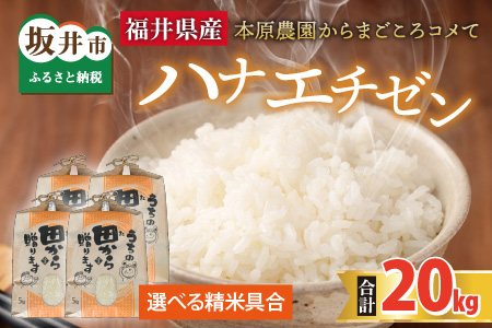 ys\zyߘa8NYEVāz niG`[20kg(5kg×4) `{_܂Rā`iājy2026N9{ȍ~\z [E-8910]