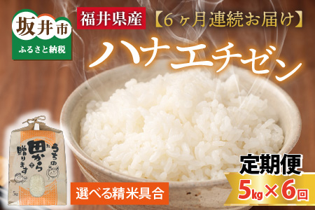 【先行予約】【令和7年産・新米】定期便 ≪6ヶ月連続お届け≫ 【白米・玄米選択可】 ハナエチゼン5kg×6回 計30kg ～本原農園からまごころコメて～（白米）【2025年9月上旬以降順次発送予定】 [E-8905_01]