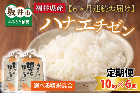 ys\zyߘa8NYEVāz 6A͂ niG`[10kg×6 v60kg `{_܂Rā`iājy2026N9{ȍ~\z [M-8908]