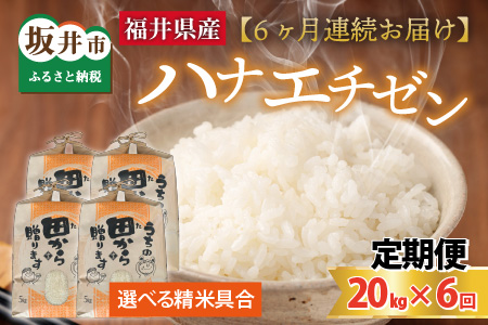 ys\zyߘa8NYEVāz 6A͂ niG`[20kg×6 v120kg `{_܂Rā`iājy2026N9{ȍ~\z [P-8902]