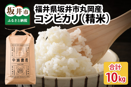 [令和6年産・新米] 福井県坂井市丸岡町産 コシヒカリ 10kg(精米) [B-11308_03]