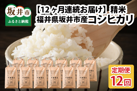 [令和6年産・新米][12ヶ月連続お届け]福井県坂井市丸岡町産 コシヒカリ5kg×12回 計60kg(精米) [J-11305_03]