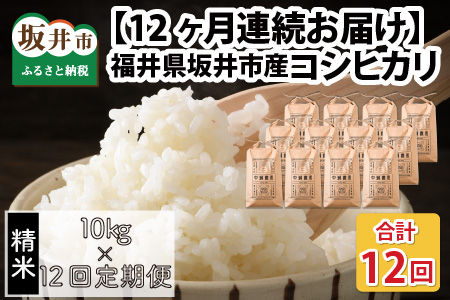 [令和6年産・新米][12ヶ月連続お届け]福井県坂井市丸岡町産 コシヒカリ10kg×12回 計120kg(精米) [O-11306_03]